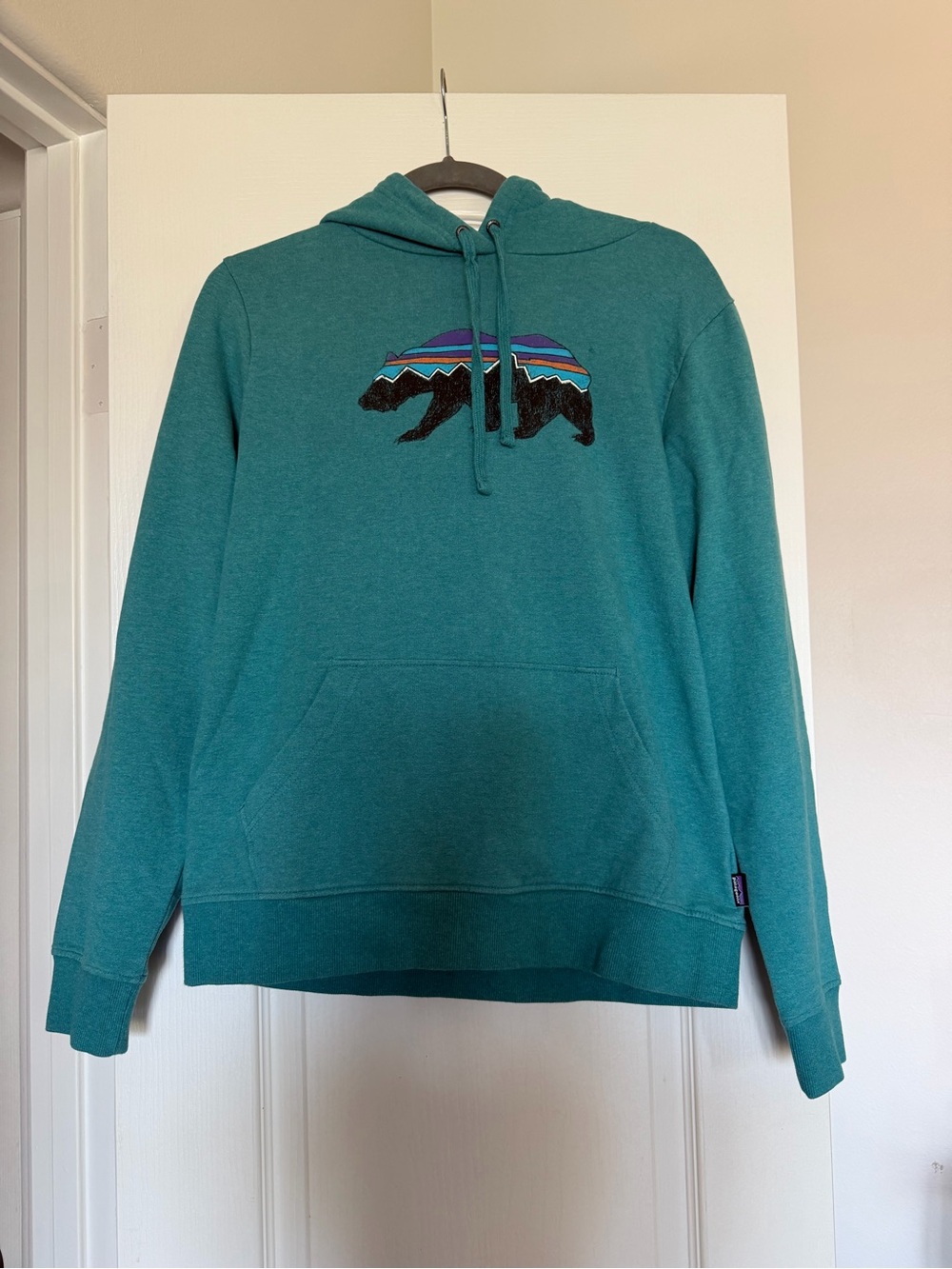 Patagonia Teal Bear Graphic Crewneck Hoodie Women/Unisex M